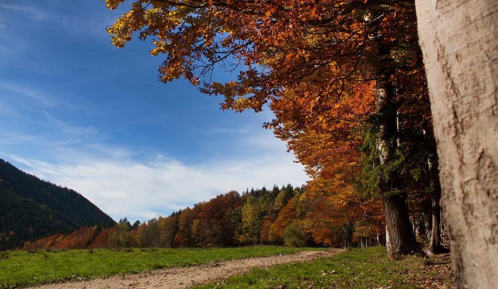Gasthof Fischerstueberl Rottau Zewnętrze zdjęcie